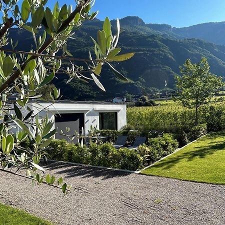 Agriturismo Insolito 텔라노 외부 사진